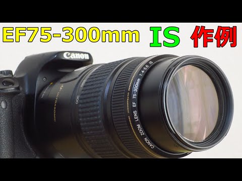 Junk Lens Sample] 5500 yen CANON EF75-300mm F4-5.6 IS USM