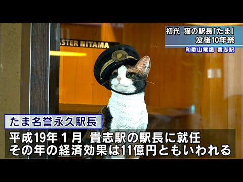 Celebrating the 10th anniversary of the death of the first cat