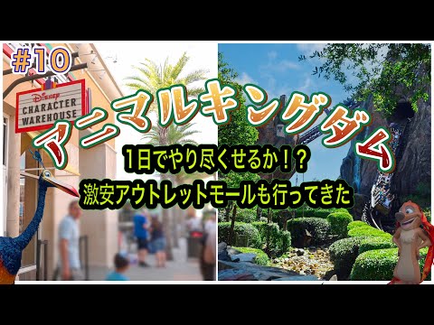 WDW】1日では遊び尽くせないアニマルキングダム!!ディズニーグッズの