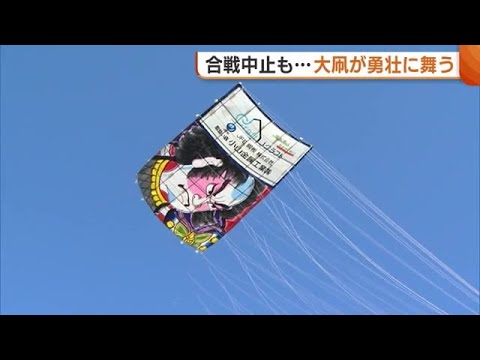A giant kite the size of 24 tatami mats dances bravely! The