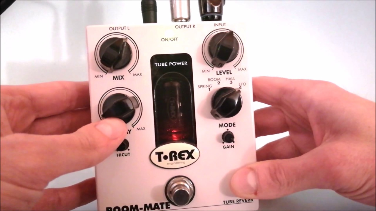 T-Rex RoomMate II - YouTube