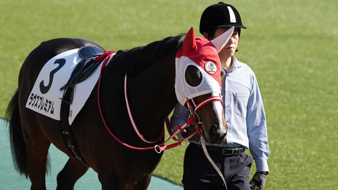 ラヴズオンリーユー】矢作芳人調教師インタビュー - YouTube