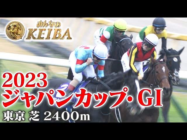 ジャパンカップ・GⅠ】ジャパンカップ 2023 レース 王者が歴史的決戦を