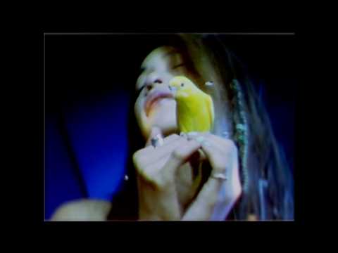 MariMari / IndianSummer (Official Music Video) - YouTube