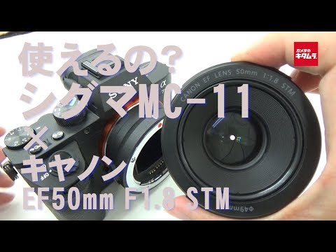 使えるの？】シグマ マウントアダプター MC-11でキヤノン EF50mm F1.8