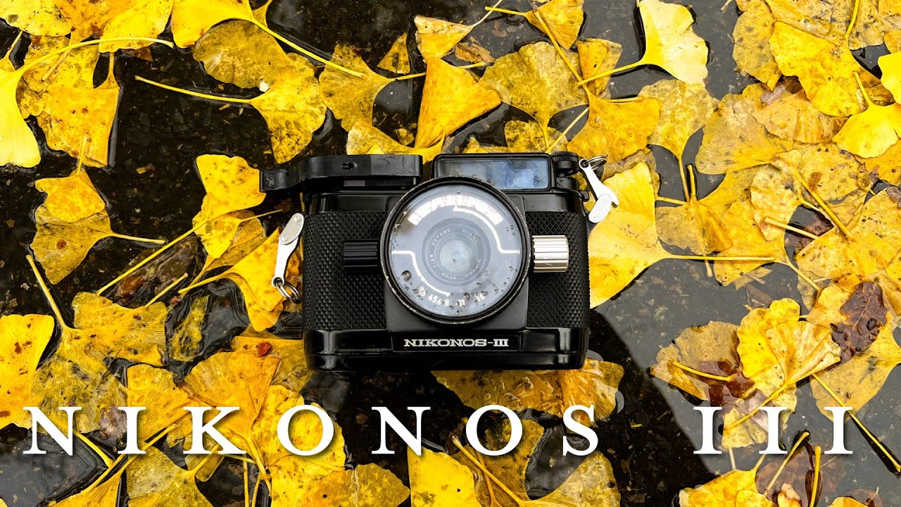 Should you buy a Nikonos 3 - Nikonos III - YouTube