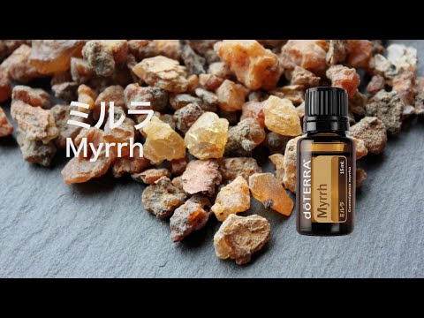 ミルラ - doTERRA TIMES