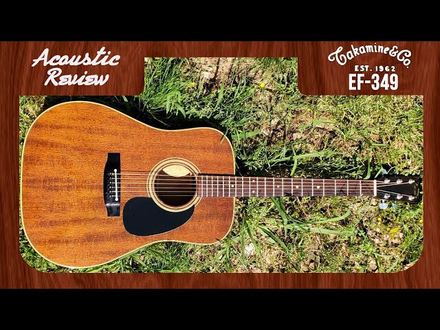 Acoustic Guitar Review: Takamine EF-349 