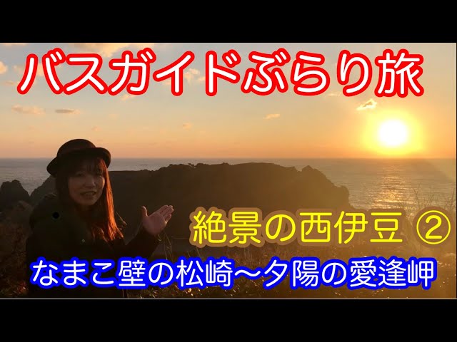バスガイドオリジナル教本 南伊豆 中伊豆 からの 東京方面に向けての
