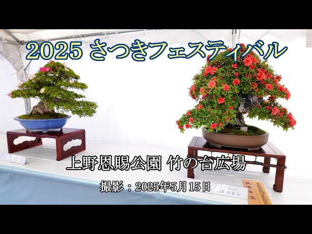 2025さつきフェスティバル = 上野恩賜公園 竹の台広場 = [4K] 2025