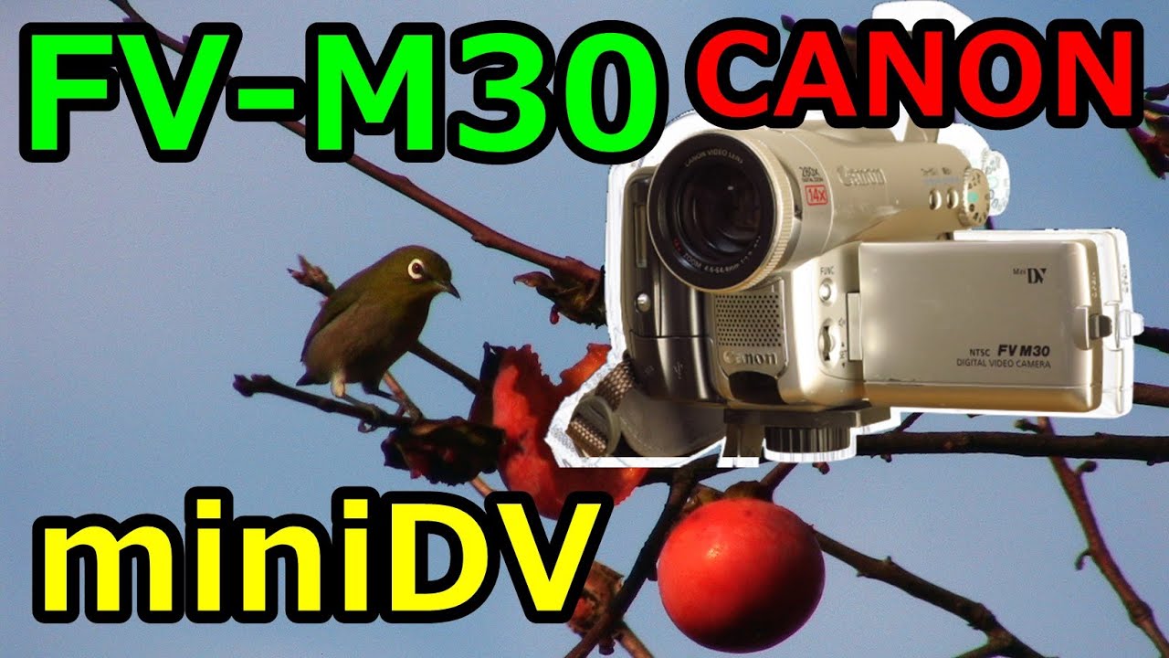 ジャンクビデオカメラ】330円 CANON FV-M30 動作検証・作例 miniDV世代