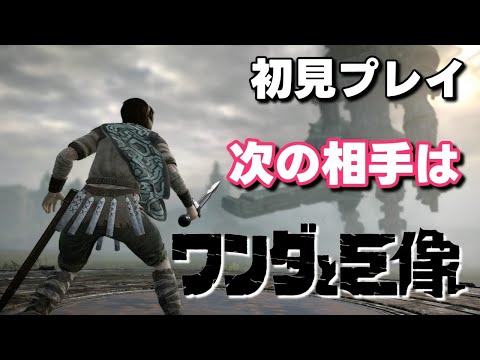 2 ワンダと巨像 アグロ！無視せんとってくれ！ meoTubeゲーム実況