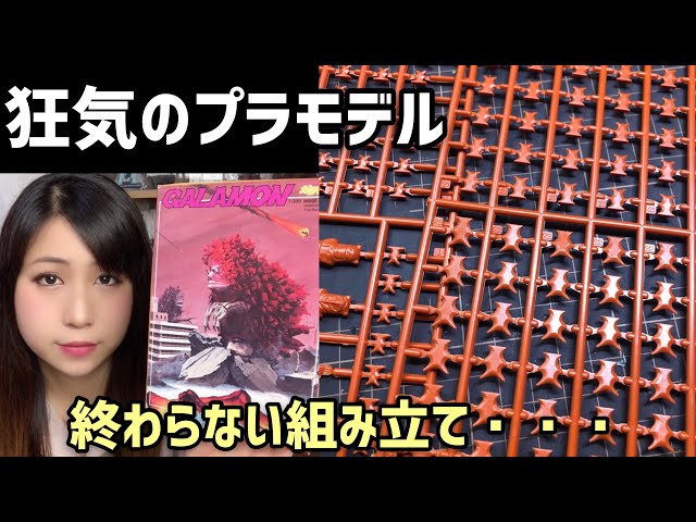 The crazy plastic model that everyone's talking about! A girl