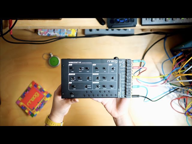 Moog Werkstatt-01 & CV Expander // DIY Build and First Look! - YouTube