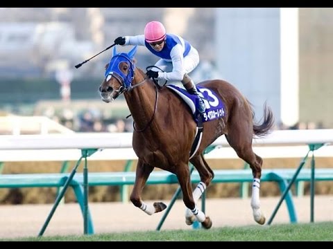 Daiwa Scarlet] The door to history opened for the first time in 37