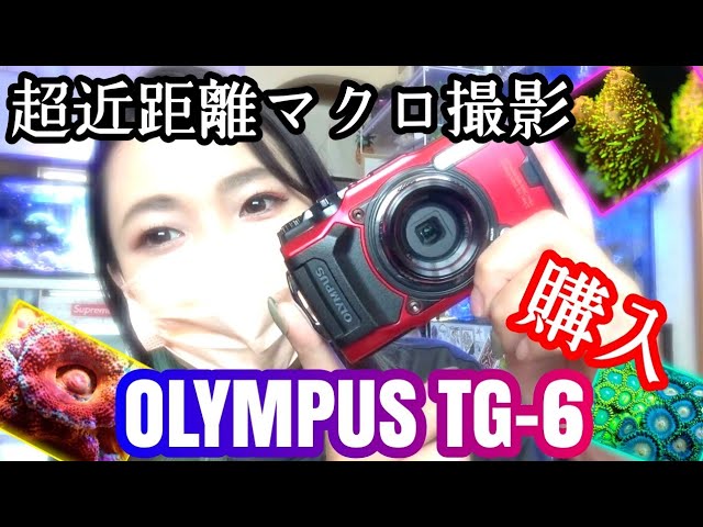 海水魚水槽】カメラOLYMPUS tg-6で飼育中のサンゴを超近距離マクロ撮影