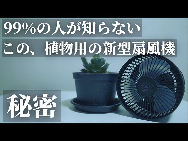 Highly Recommended] Stylish and Cool! Review of the 