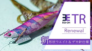 人気メーカー TRエギ 19個セット エギ王 TR｜YAMASHITA｜イカ釣りで