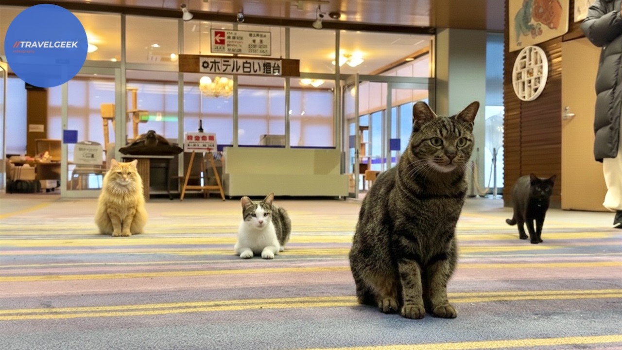 まるです18。-I am Maru 18.- - YouTube