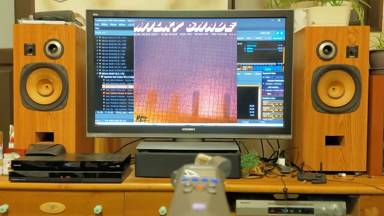 自作スピーカー Kazumi Watanabe - Mirrors（FOSTEX 自作