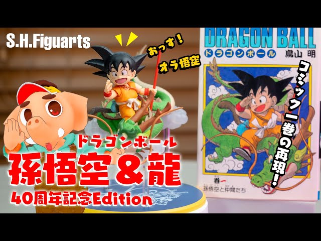 S.H.Figuarts】ドラゴンボール40周年記念の孫悟空＆龍フィギュア。V