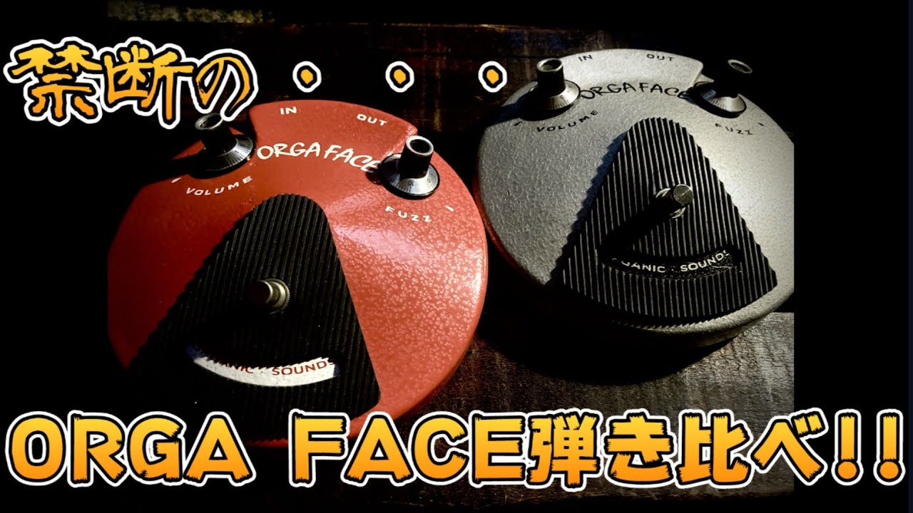 贅沢の極】国内初？！こんな弾き比べ見たことない？！禁断のORGA FACE