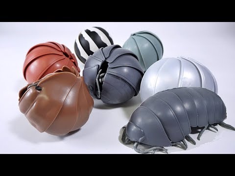 Cute Roly Poly Bugs : Dango Mushi - Bandai Capsule Toys - YouTube