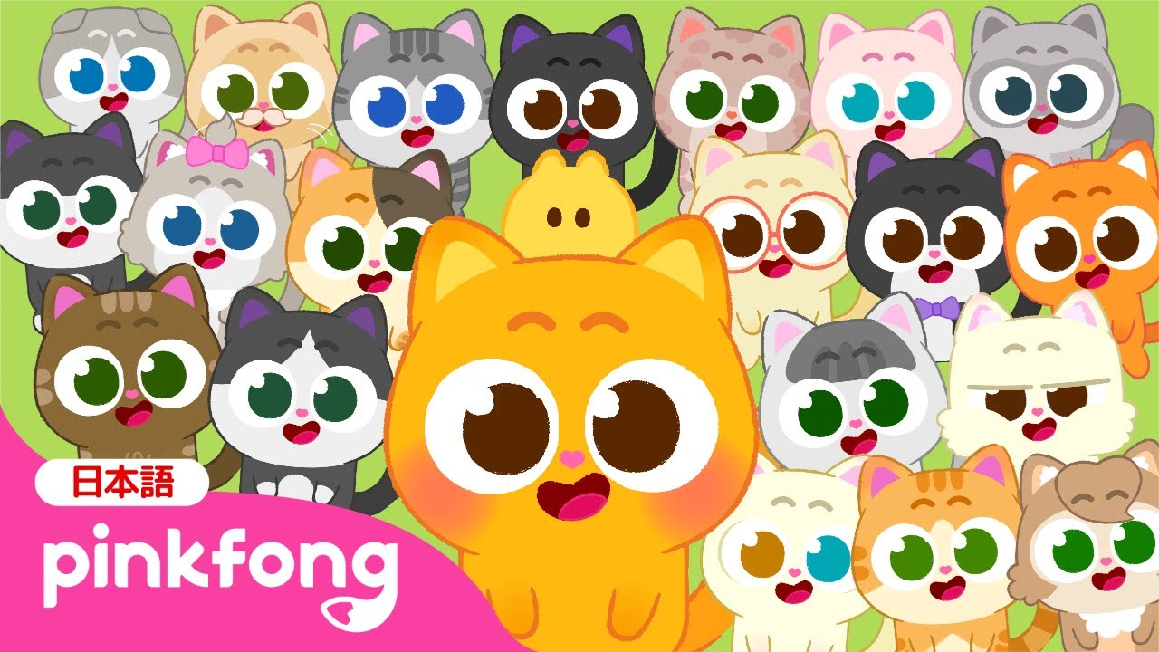 NEW✨] 100匹のニニモ🐱🍡 |しろ、くろ、三毛、キジトラ、タキシード