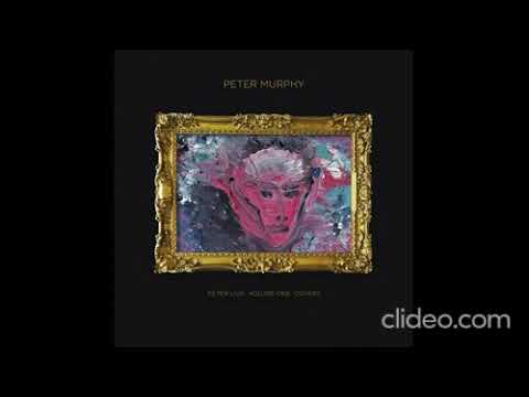 Peter Murphy – Peter Live Volume One Covers | Releases | Discogs