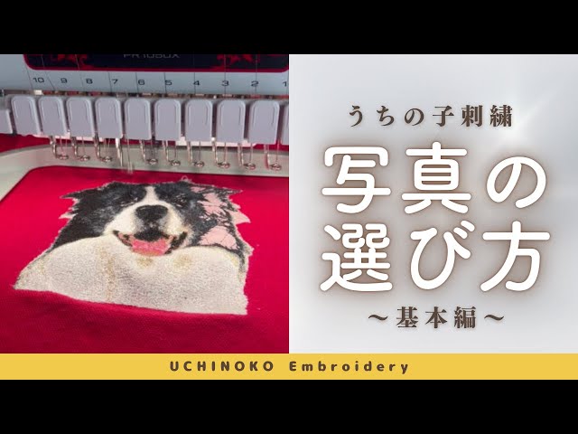 保存版】うちの子刺繍写真の選び方（基本編） - YouTube