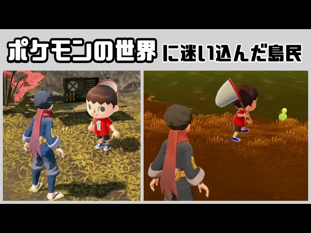 ポケモンレジェンズの世界に迷い込んだ島民【Pokémon LEGENDS