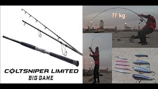 ROCK SHORE ROD] COLTSNIPER LIMITED BIG-GAME S100XXH / CASTING