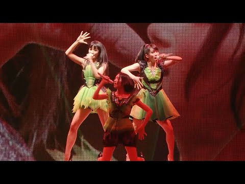 2011] LIVE @ Tokyo Dome 1 2 3 4 5 6 7 8 9 10 11 - YouTube