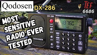 あの頃の“耳”を、いまふたたび──「QODOSEN DX-286」｜ダシ・ヒロシ