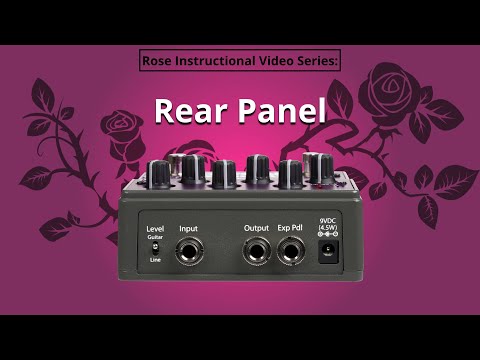 Eventide Rose Delay Effect Pedal | Sweetwater