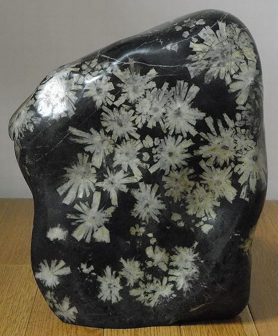 緋山酔恭「山水石美術館」 全国の水石・美石を紹介 菊花石 Ⅰ