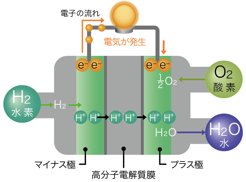 水素エネルギーで進め、未来へ トヨタ自動車株式会社 | リバネス