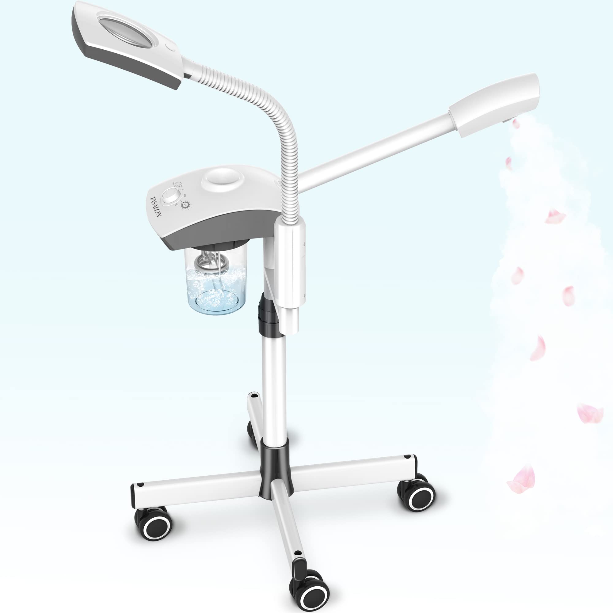 Amazon.com: TASALON Professional Facial Steamer Tools for