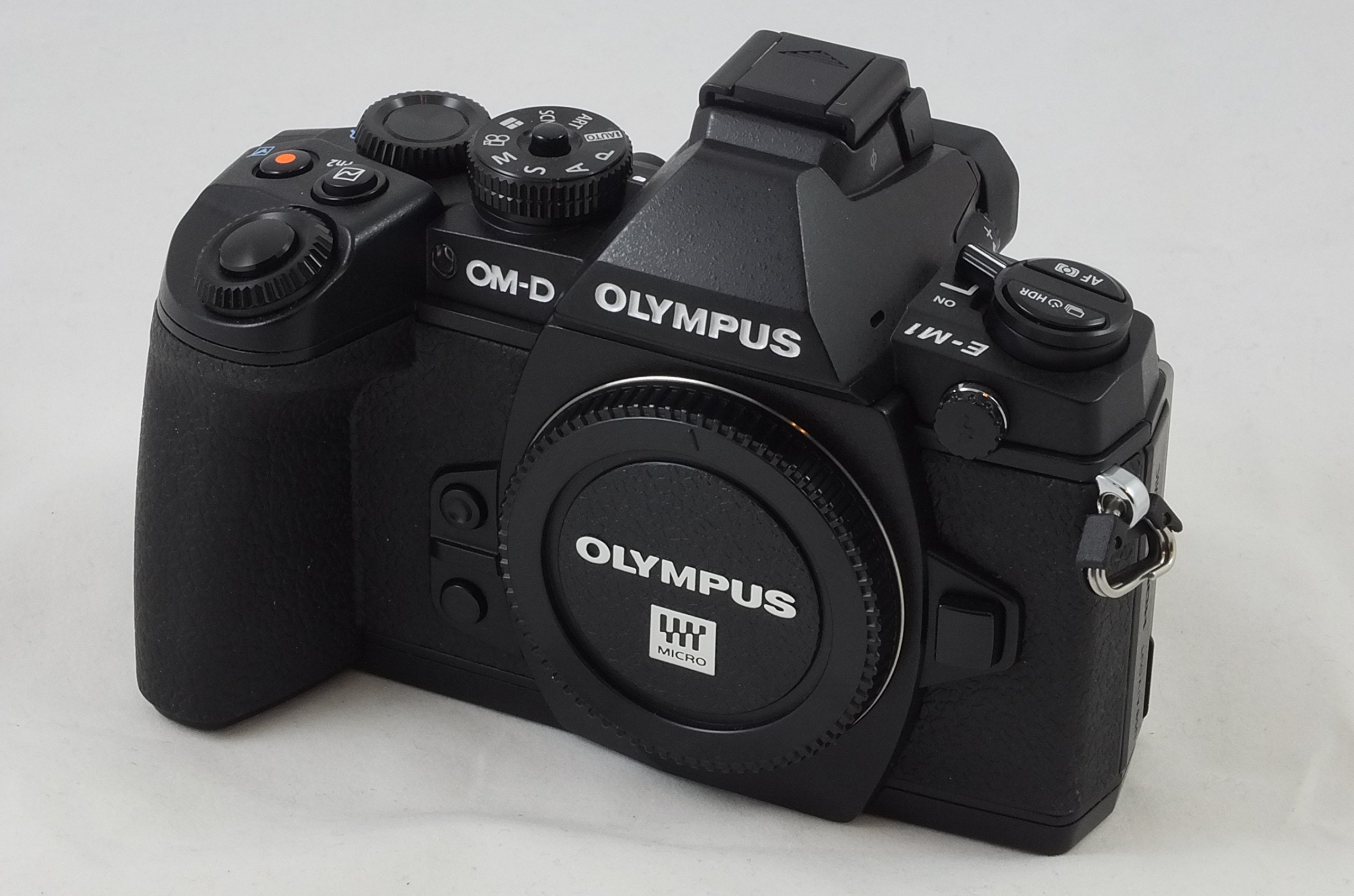 Amazon.com : Olympus OM-D E-M1 Mirrorless Digital Camera with 16MP