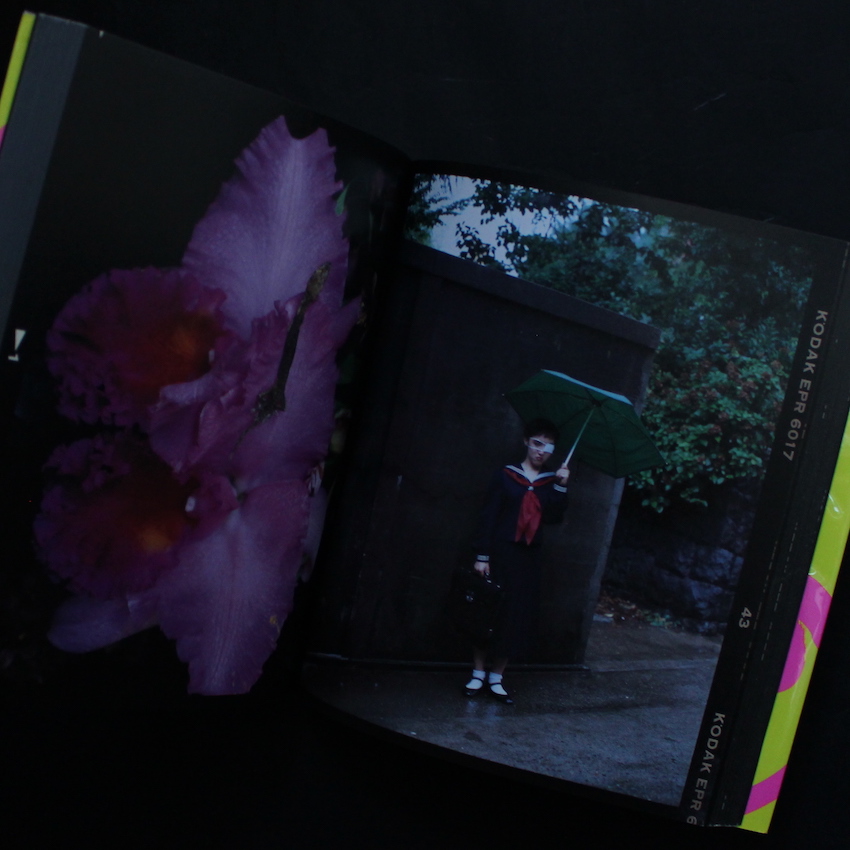 6 × 7 反撃 / Hangeki - 荒木 経惟 / Nobuyoshi Araki
