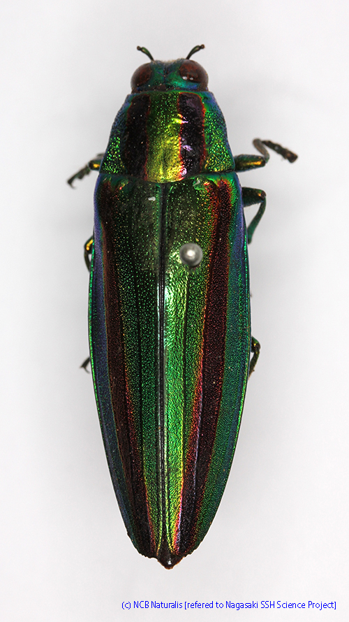 2015032636.JPG