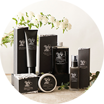 アウトバス | オッジィオット oggi otto