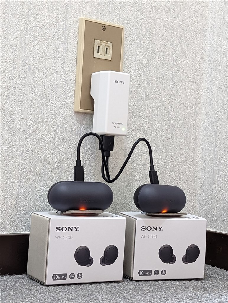 安心の SONY 純正品 ACアダプター 充電器 ですよね』 SONY AC-UD20