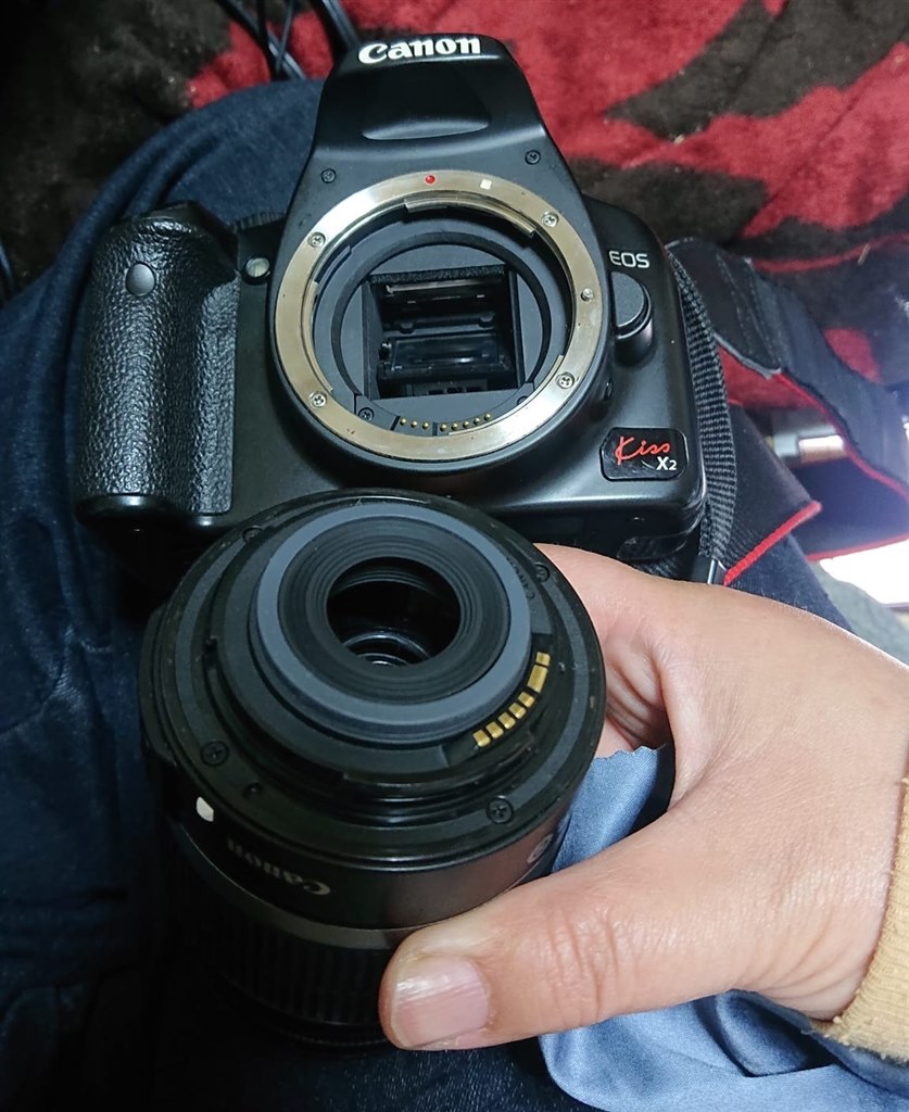 違うメーカーの一眼レフを使ってみたくて』 CANON EOS Kiss X2 レンズ