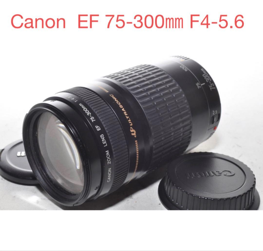 望遠レンズ/イベント/スポーツ/キヤノン/Canon EF75-300㎜ 超美品】望遠レンズ Canon EF75-300mm F4-5.6III Amazon.co.jp: Canon